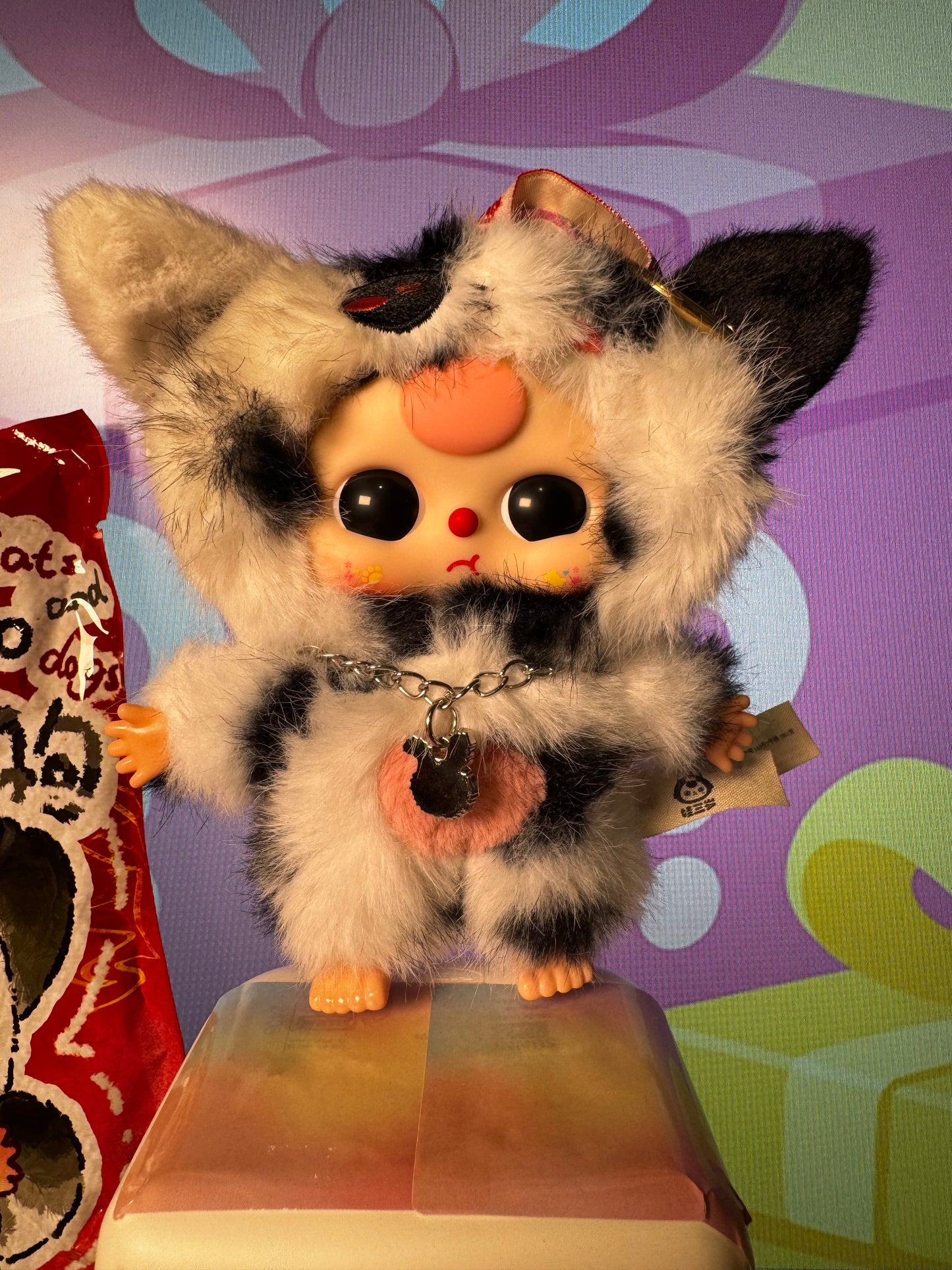 Baby Three Cats & Dogs